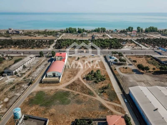 خرید زمین بر اصلی جاده در طالب آباد انزلی