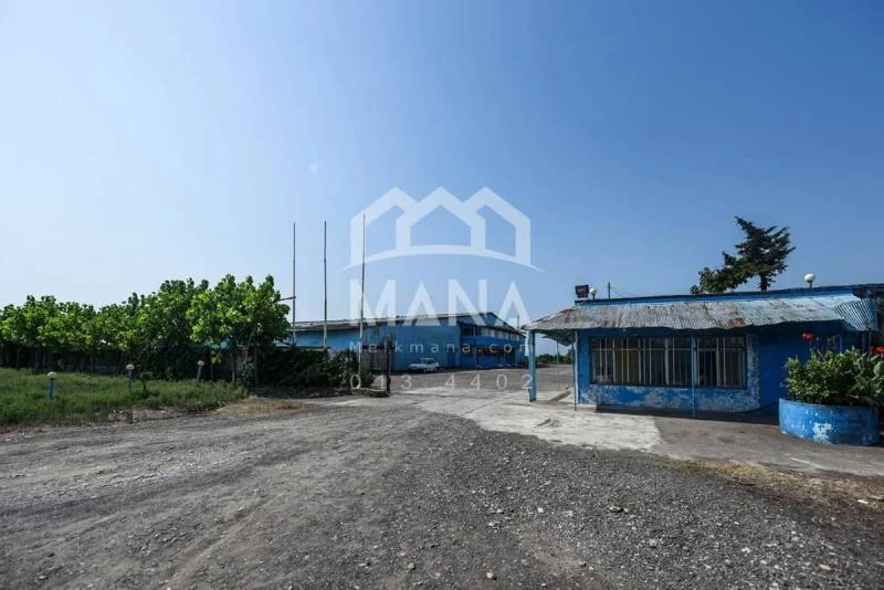 رهن و اجاره سوله در سنگاچین بندر انزلی