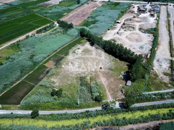فروش زمین روستایی در طالب آباد بندرانزلی