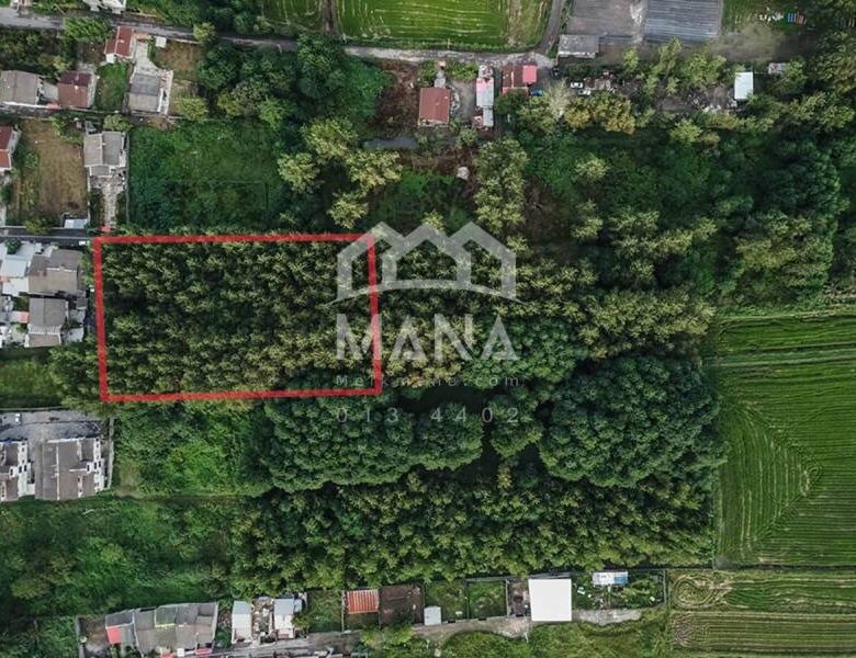 فروش زمین در غازیان بندرانزلی