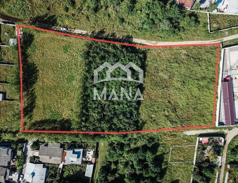 خرید چند قطعه زمین در بندر انزلی