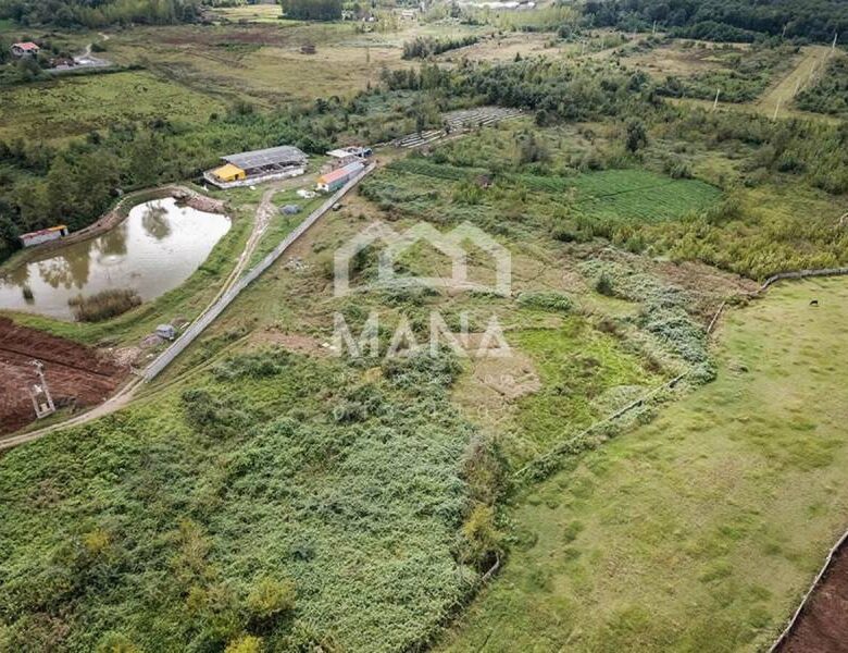 خرید زمین در لاهیجان