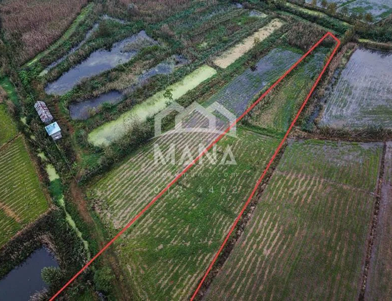 خرید زمین با کاربری کشاورزی در غازیان