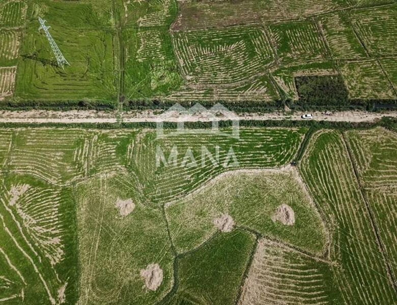 خرید زمین متراژ بالا در شهر رشت