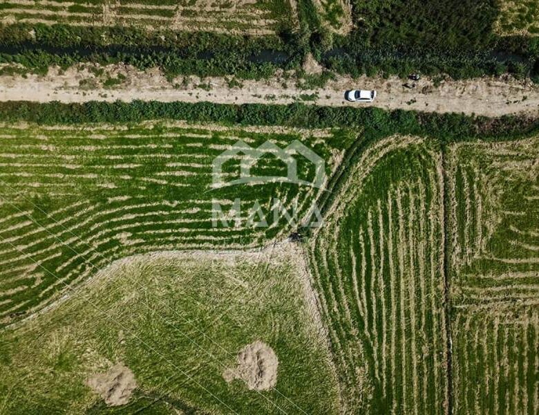خرید زمین متراژ بالا در شهر رشت