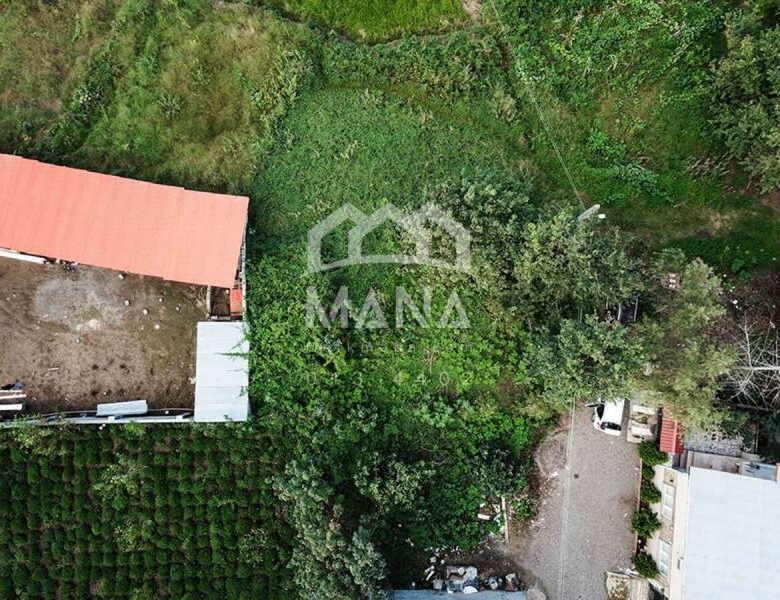 خرید زمین با کاربری مسکونی در لاهیجان