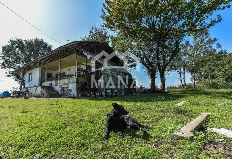 خرید زمین در رشت