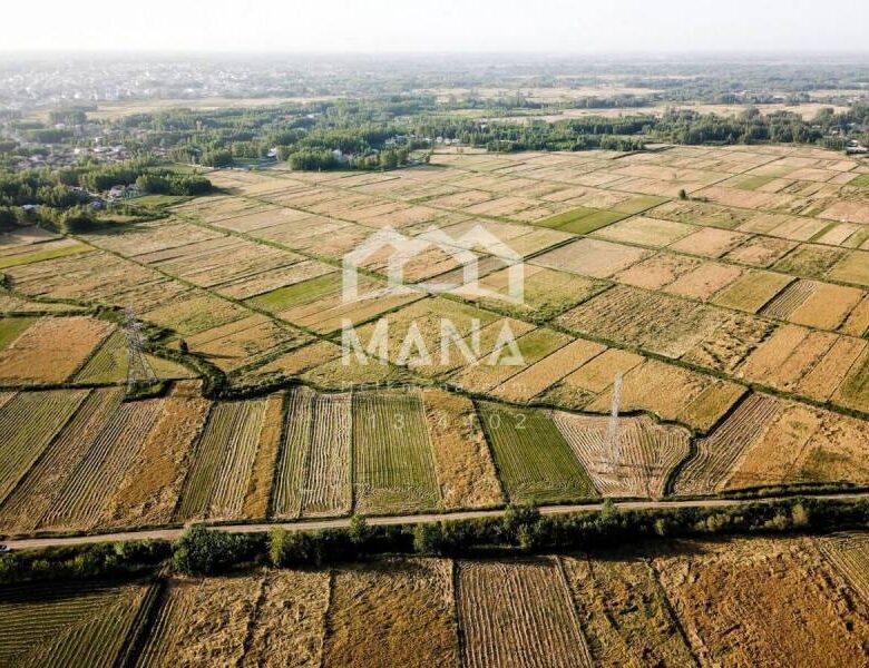 فروش زمین کشاورزی در لاهیجان