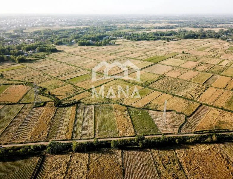 فروش زمین کشاورزی در لاهیجان