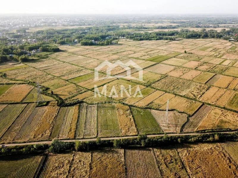 فروش زمین کشاورزی در لاهیجان