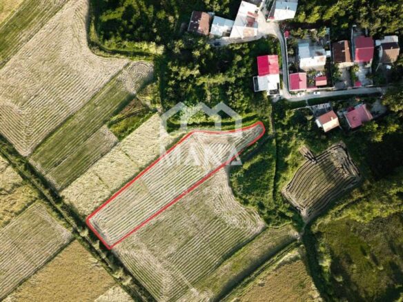 DJI_0047-1