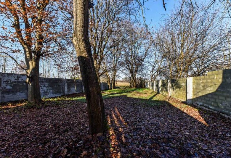 خرید کافه رستوران در بندر انزلی