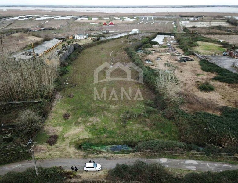 خرید زمین هکتاری در بندر انزلی