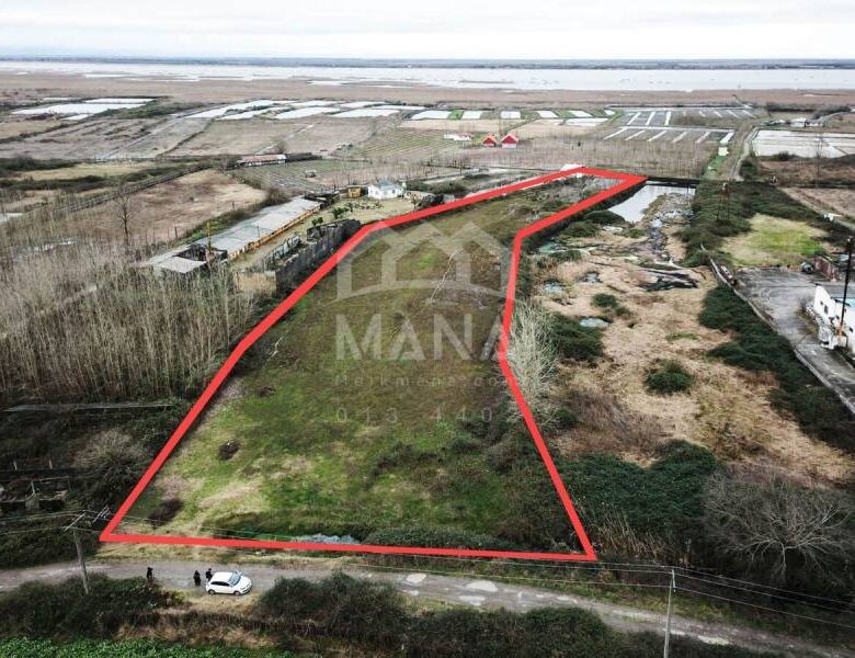 خرید زمین هکتاری در بندر انزلی