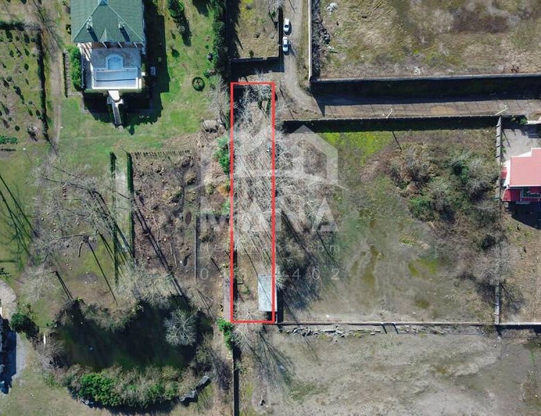 خرید زمین با کاربری صیفی در حومه بندر انزلی