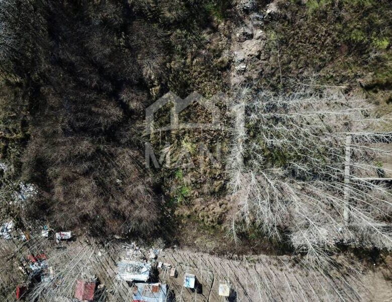 خرید زمین در بشمن