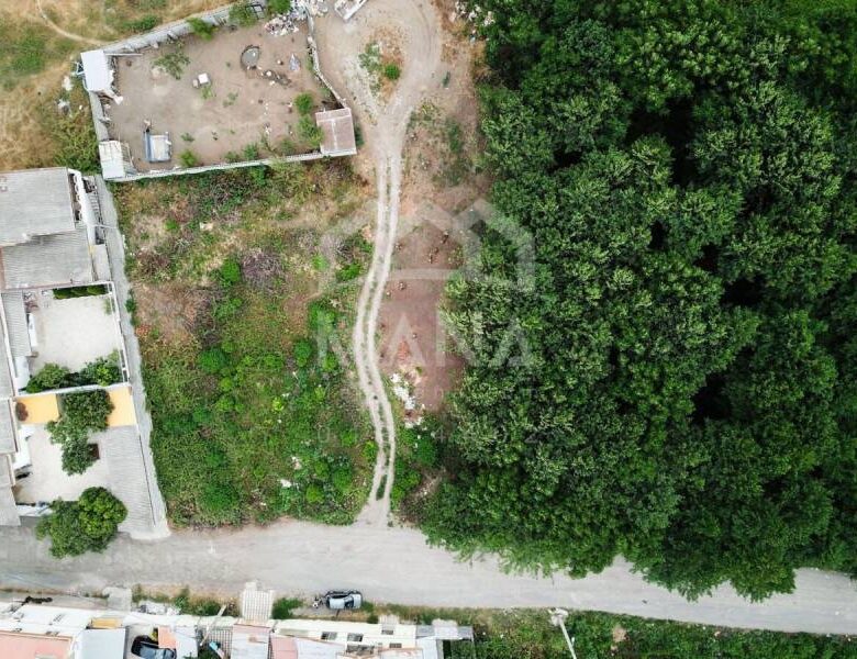 دو قطعه زمین 300 متری در بندرانزلی