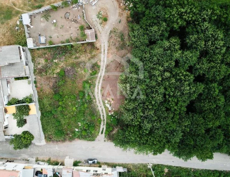 دو قطعه زمین 300 متری در بندرانزلی