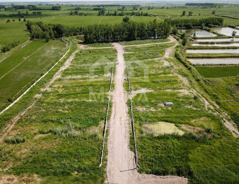 فروش زمین روستایی در حومه بندرانزلی