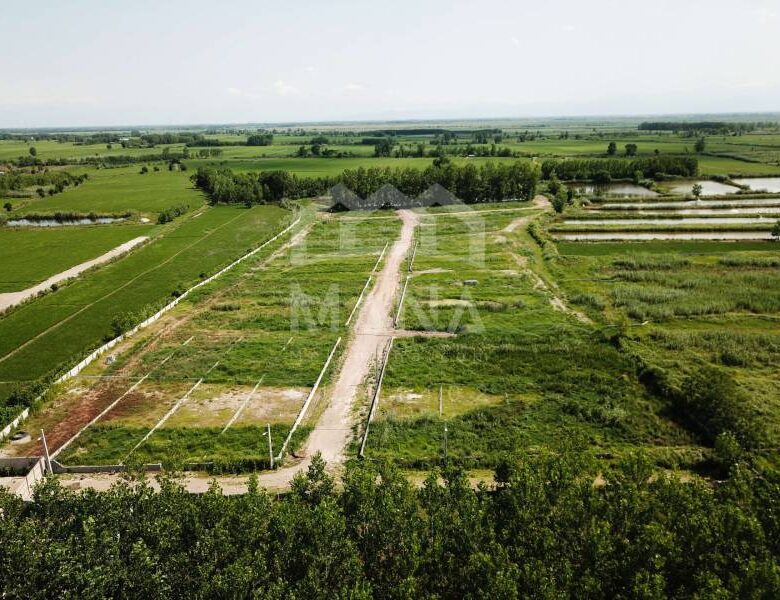 فروش زمین روستایی در حومه بندرانزلی