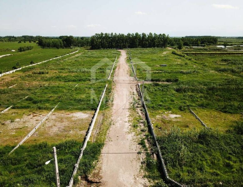 فروش زمین روستایی در حومه بندرانزلی