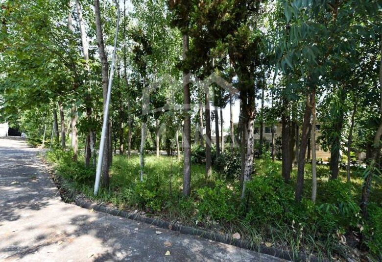 زمین اداری تجاری در جاده رشت انزلی