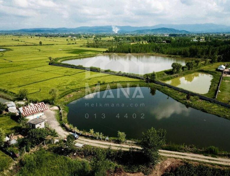 زمین هکتاری در حومه رشت