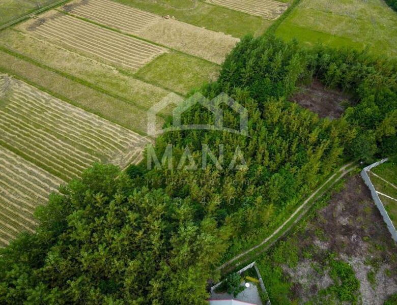 خرید زمین با کاربری باغ در رودپشت