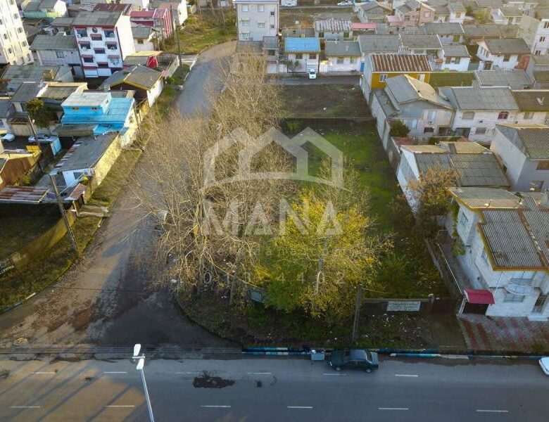 خرید زمین در شمال در بلوار اطبا انزلی