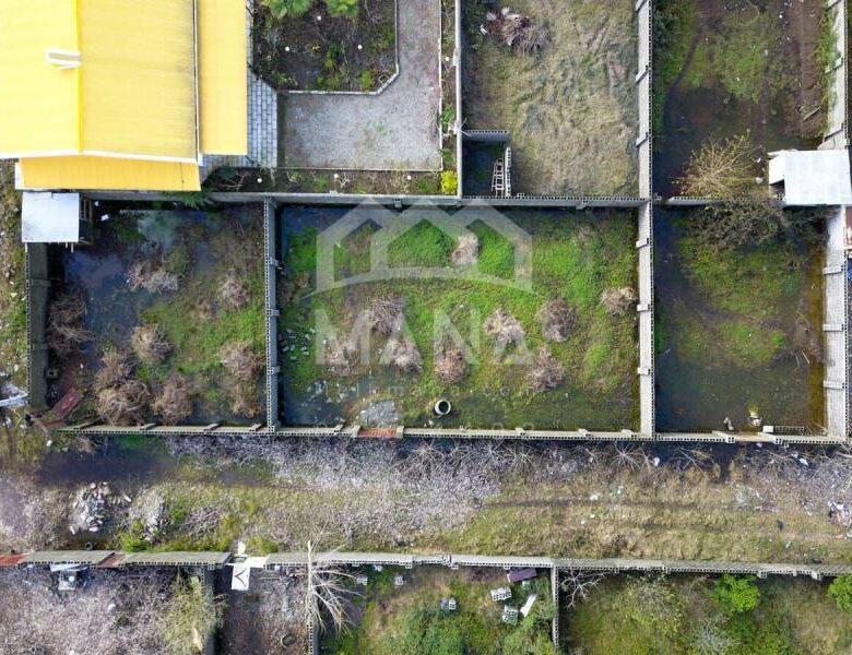 خرید زمین کاربری مسکونی انزلی