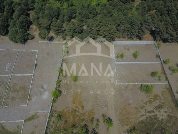 زمین مسکونی در کیاشهر (3)