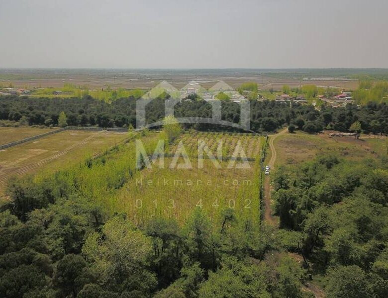 فروش زمین در گیلان با کاربری باغ ویلا