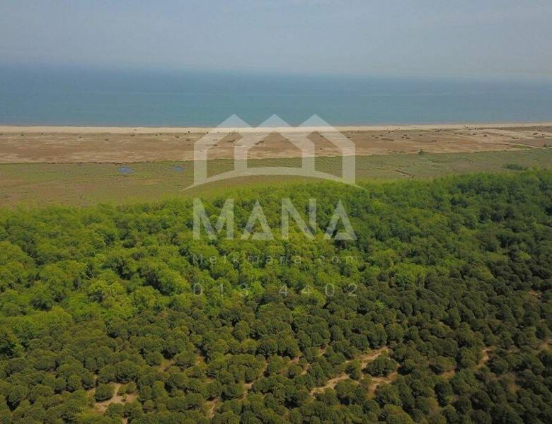 فروش زمین در گیلان با کاربری باغ ویلا