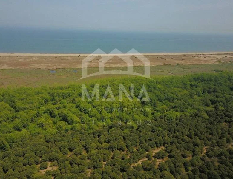 فروش زمین در گیلان با کاربری باغ ویلا