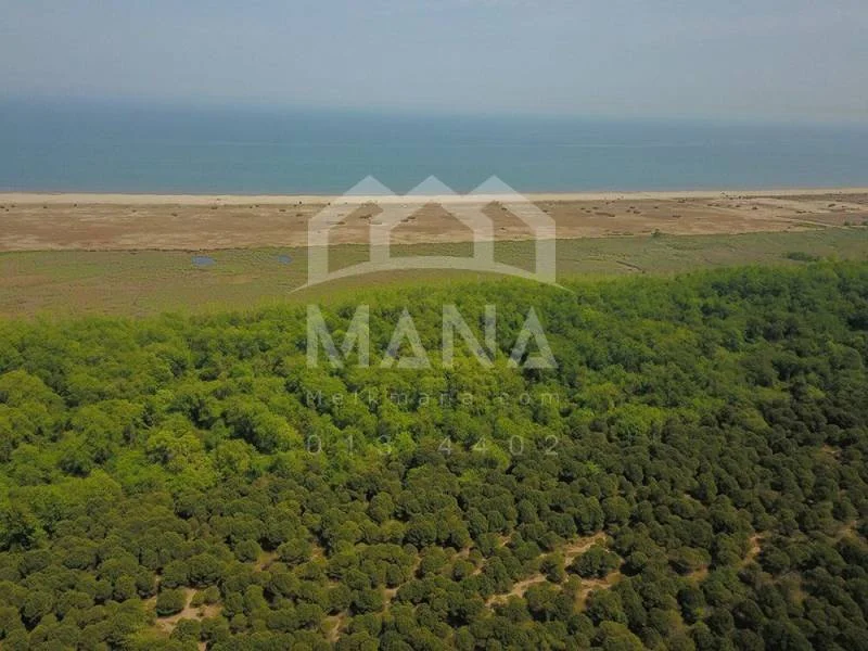 فروش زمین در شمال (6) فروش زمین در گیلان با کاربری باغ ویلا