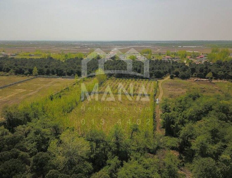 فروش زمین در گیلان با کاربری باغ ویلا