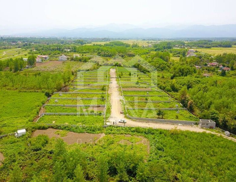 زمین هکتاری در گیلان با مساحت 23000 متر