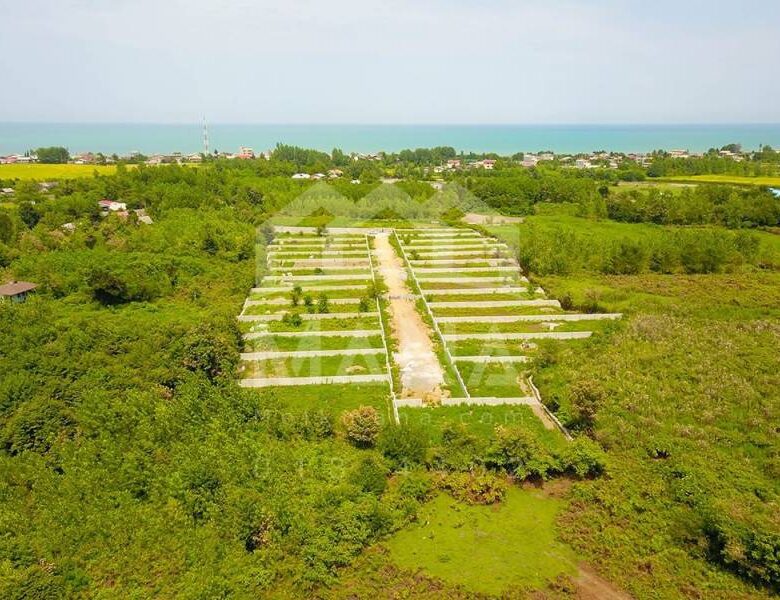 زمین هکتاری در گیلان با مساحت 23000 متر