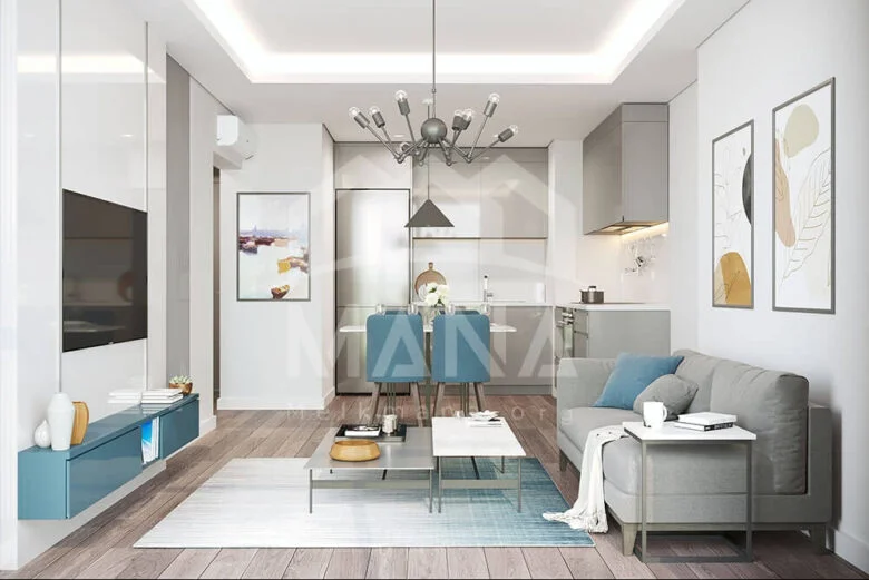 خرید ملک ارزان در منطقه زیتین بورنو استانبول (11)