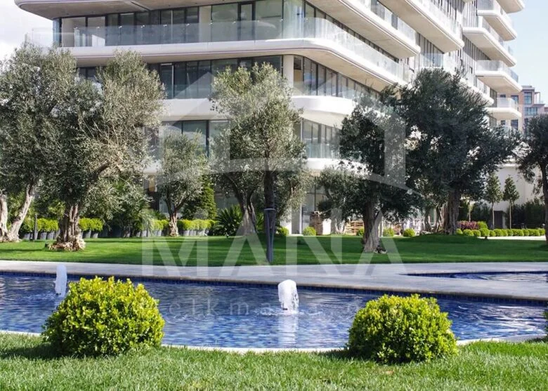 زیتین بورنو با دید دریای مرمره2