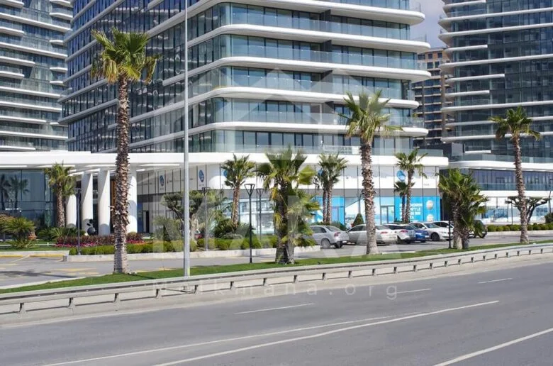 زیتین بورنو با دید دریای مرمره1