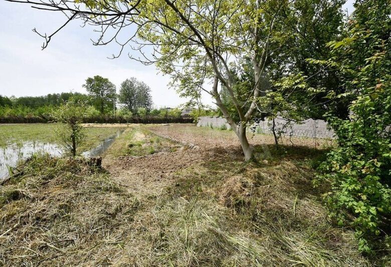 خرید زمین با کاربری باغی در بلوار پیشوایی بندر انزلی