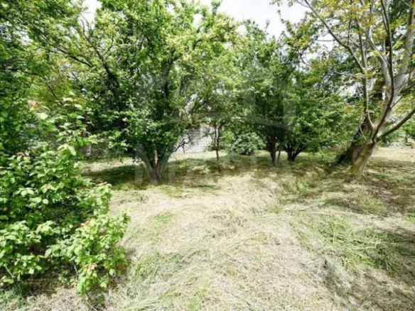 زمین با کاربری باغی در انزلی