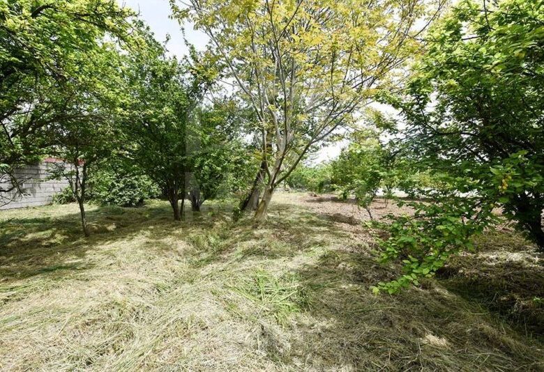 خرید زمین با کاربری باغی در بلوار پیشوایی بندر انزلی