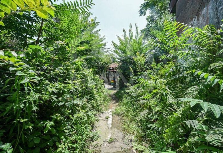 زمین مسکونی در بندرانزلی (735 متر)