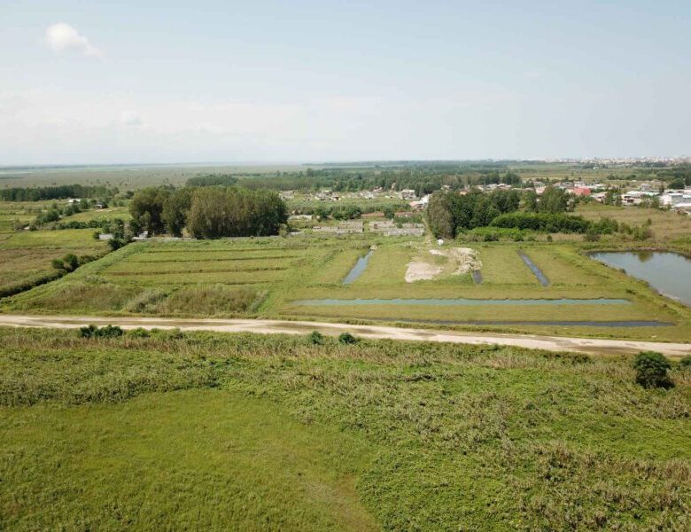 زمین در بندرانزلی (5 هکتار)