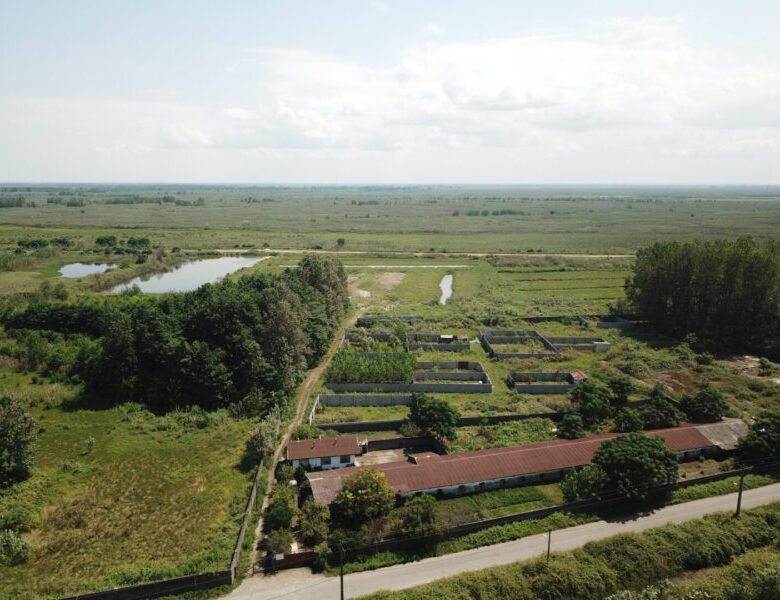 زمین در بندرانزلی (5 هکتار)