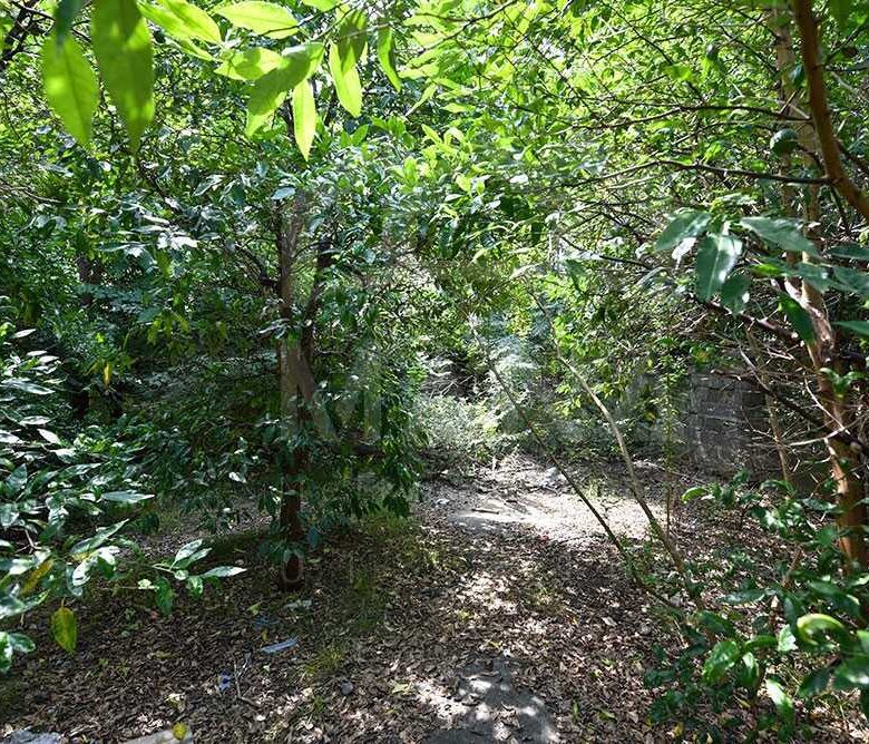 ویلایی در بندرانزلی (819 متر)