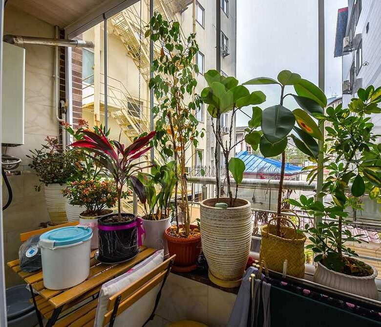 آپارتمان در بندرانزلی (80 متر)